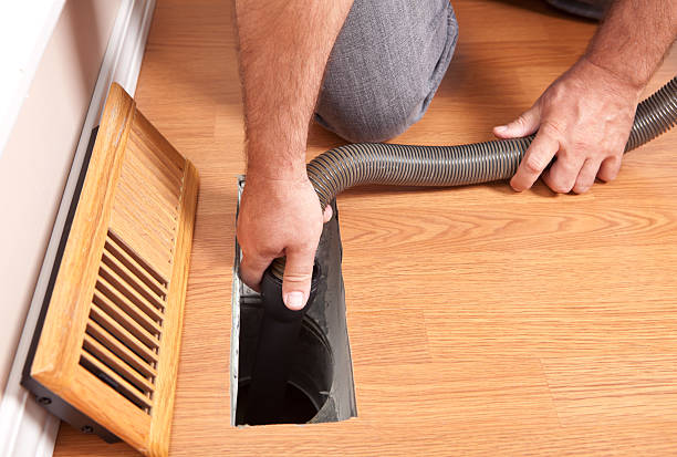 Air Duct Mold Removal in Chisholm, ME